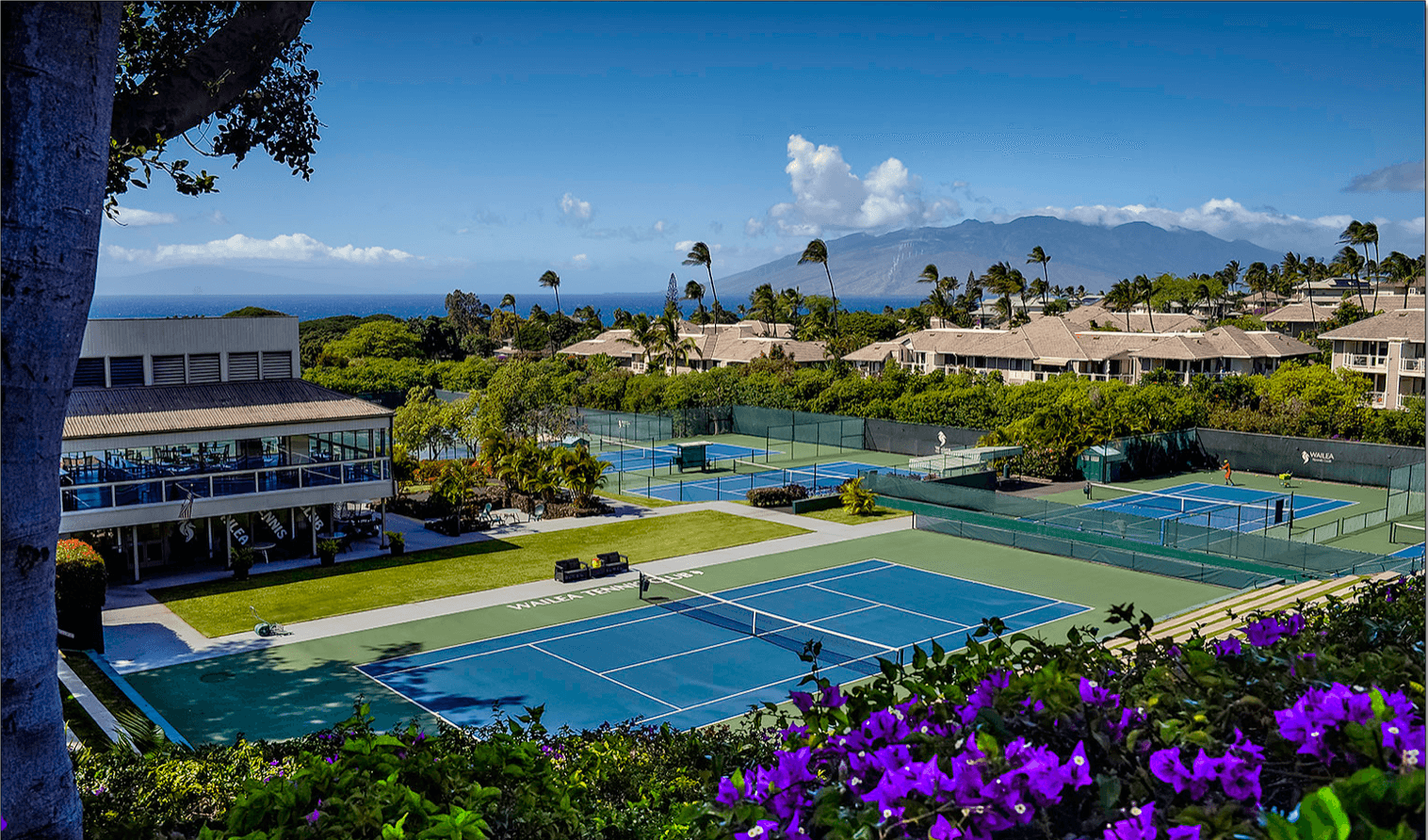 Magnifique club de tennis dynamique 